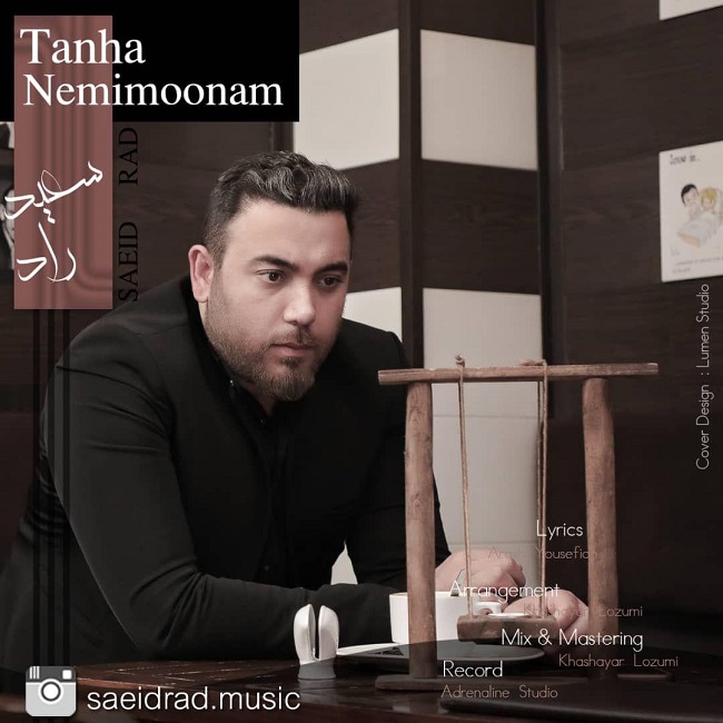 دانلود آهنگ تنها نمیمونم